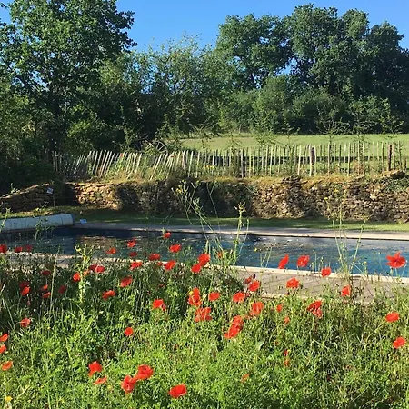 Maison En Pierre Avec Jardin Et Piscine Privee, Proche Tremolat Holiday home