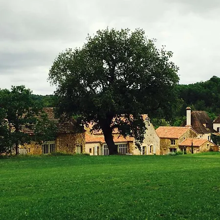 Maison En Pierre Avec Jardin Et Piscine Privee, Proche Tremolat